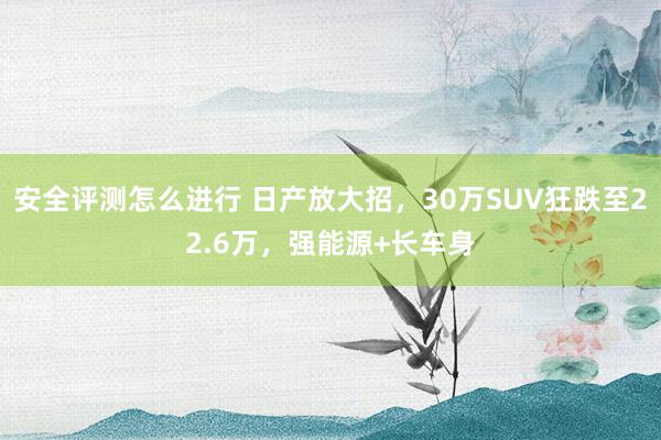 安全评测怎么进行 日产放大招，30万SUV狂跌至22.6万，强能源+长车身