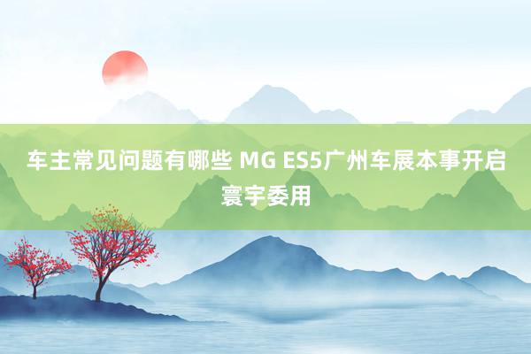 车主常见问题有哪些 MG ES5广州车展本事开启寰宇委用