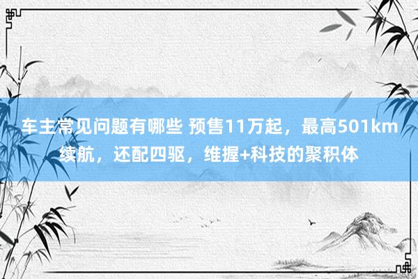 车主常见问题有哪些 预售11万起，最高501km续航，还配四驱，维握+科技的聚积体