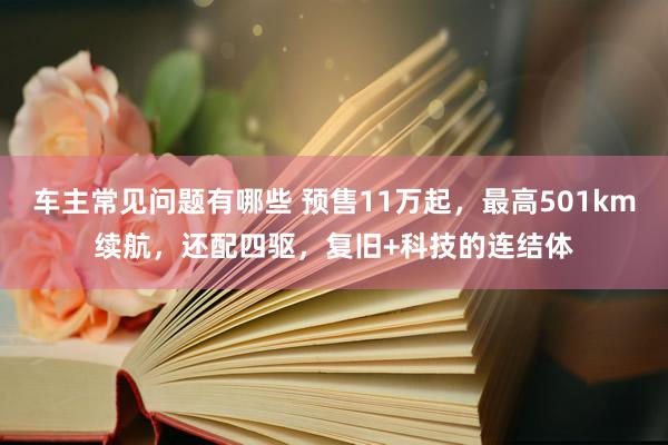 车主常见问题有哪些 预售11万起，最高501km续航，还配四驱，复旧+科技的连结体