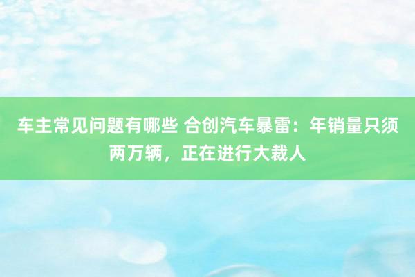 车主常见问题有哪些 合创汽车暴雷：年销量只须两万辆，正在进行大裁人