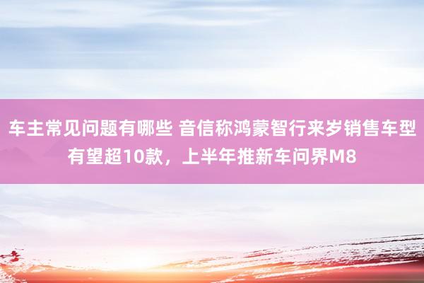 车主常见问题有哪些 音信称鸿蒙智行来岁销售车型有望超10款，上半年推新车问界M8