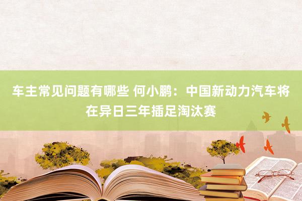 车主常见问题有哪些 何小鹏：中国新动力汽车将在异日三年插足淘