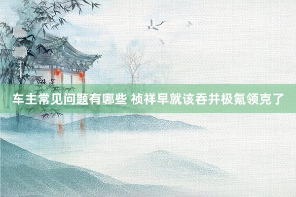 车主常见问题有哪些 祯祥早就该吞并极氪领克了