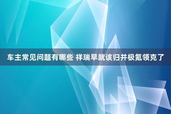 车主常见问题有哪些 祥瑞早就该归并极氪领克了