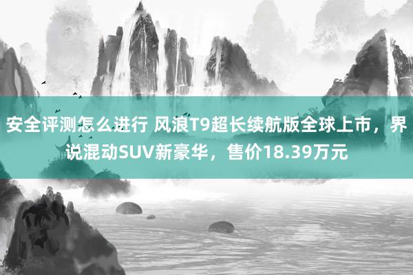 安全评测怎么进行 风浪T9超长续航版全球上市，界说混动SUV