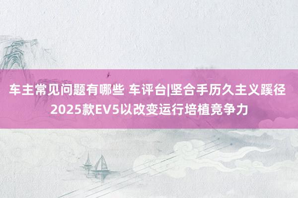 车主常见问题有哪些 车评台|坚合手历久主义蹊径 2025款EV5以改变运行培植竞争力