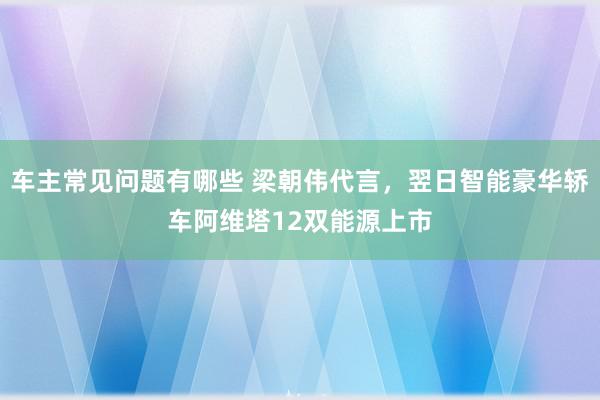 车主常见问题有哪些 梁朝伟代言，翌日智能豪华轿车阿维塔12双