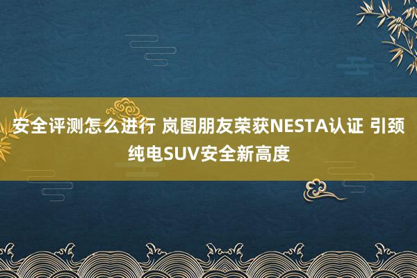 安全评测怎么进行 岚图朋友荣获NESTA认证 引颈纯电SUV