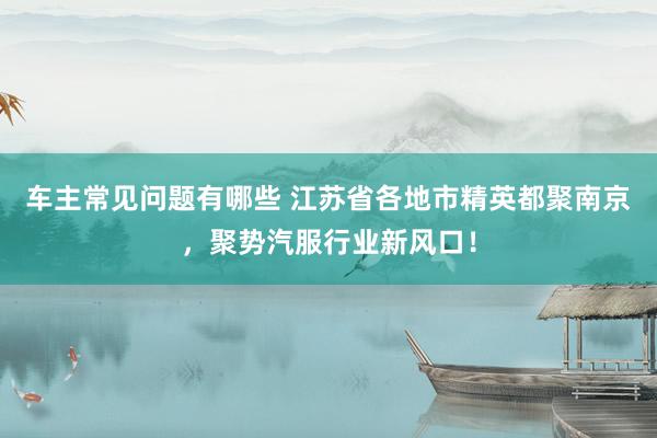 车主常见问题有哪些 江苏省各地市精英都聚南京，聚势汽服行业新