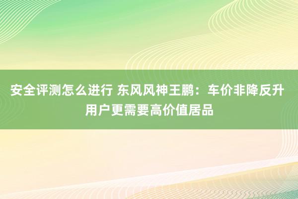 安全评测怎么进行 东风风神王鹏：车价非降反升 用户更需要高价值居品