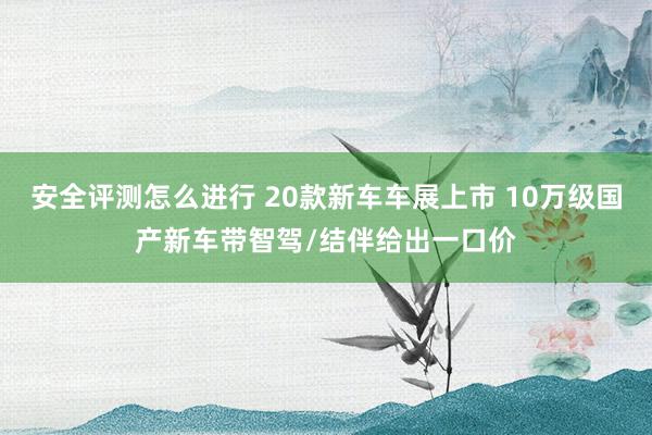 安全评测怎么进行 20款新车车展上市 10万级国产新车带智驾/结伴给出一口价