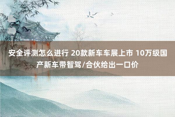 安全评测怎么进行 20款新车车展上市 10万级国产新车带智驾/合伙给出一口价