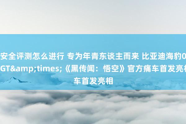 安全评测怎么进行 专为年青东谈主而来 比亚迪海豹06GT&times;《黑传闻：悟空》官方痛车首发亮相