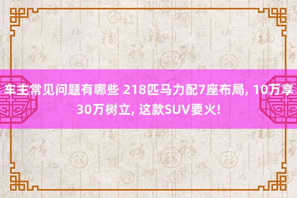 车主常见问题有哪些 218匹马力配7座布局, 10万享30万树立, 这款SUV要火!