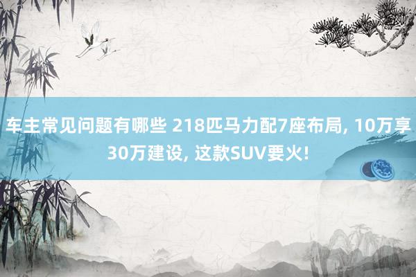 车主常见问题有哪些 218匹马力配7座布局, 10万享30万建设, 这款SUV要火!