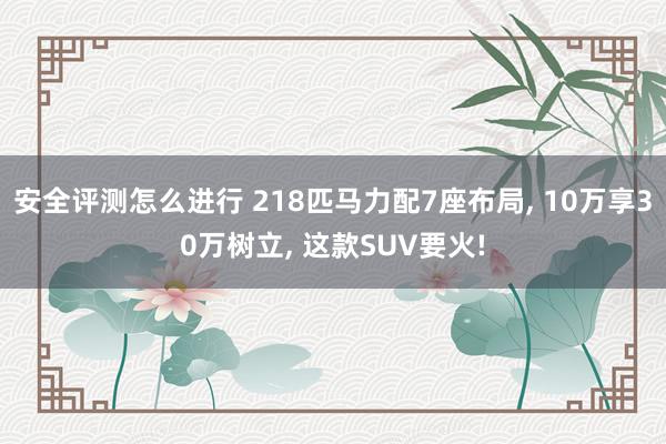 安全评测怎么进行 218匹马力配7座布局, 10万享30万树立, 这款SUV要火!