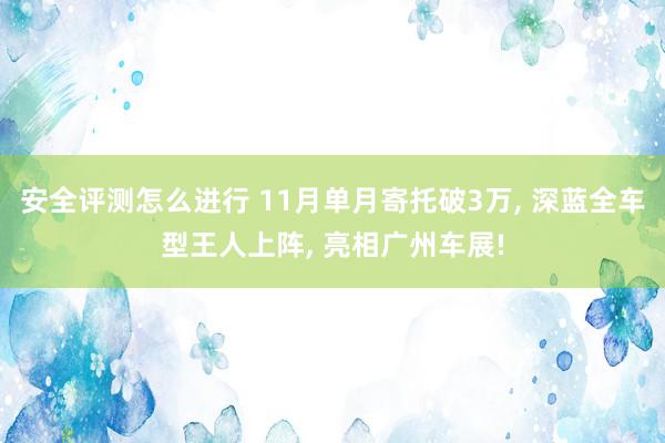 安全评测怎么进行 11月单月寄托破3万, 深蓝全车型王人上阵