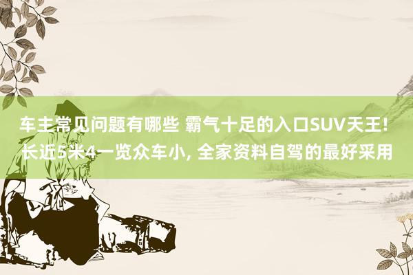 车主常见问题有哪些 霸气十足的入口SUV天王! 长近5米4一