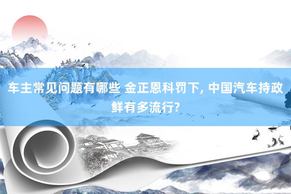 车主常见问题有哪些 金正恩科罚下, 中国汽车持政鲜有多流行?