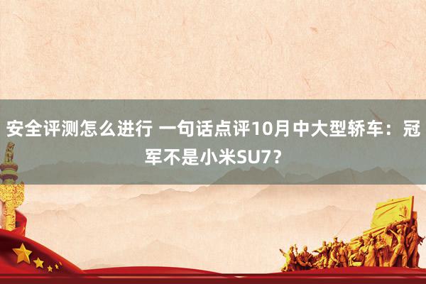 安全评测怎么进行 一句话点评10月中大型轿车：冠军不是小米SU7？