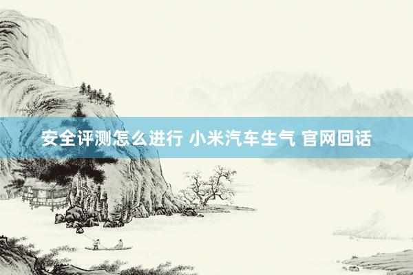 安全评测怎么进行 小米汽车生气 官网回话