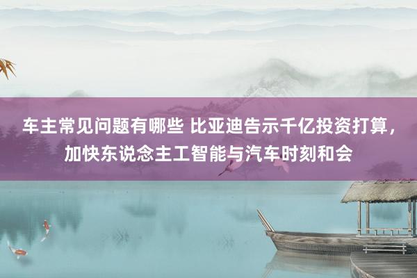 车主常见问题有哪些 比亚迪告示千亿投资打算，加快东说念主工智能与汽车时刻和会