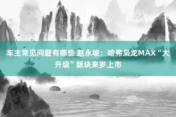 车主常见问题有哪些 赵永坡：哈弗枭龙MAX“大升级”版块来岁