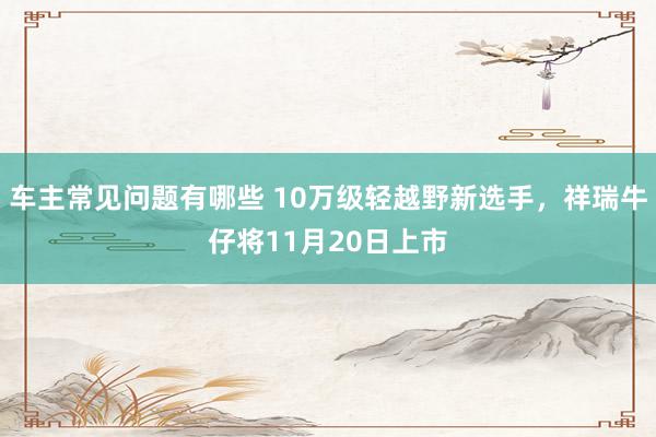 车主常见问题有哪些 10万级轻越野新选手，祥瑞牛仔将11月20日上市