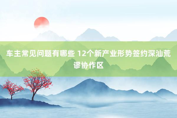 车主常见问题有哪些 12个新产业形势签约深汕荒谬协作区