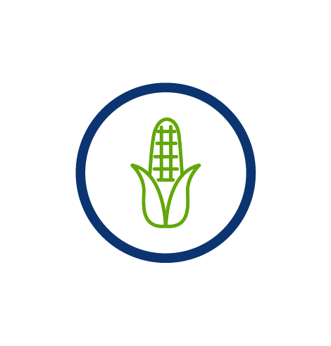 玉米蔬菜，多吃蔬菜，虚拟节水，蓝色圆圈，透明PNG